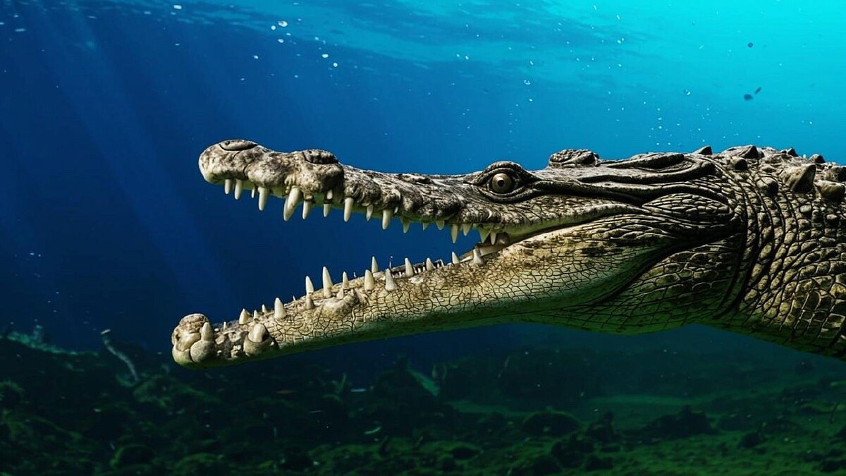    Изображение сгенерировано с помощью ИИ