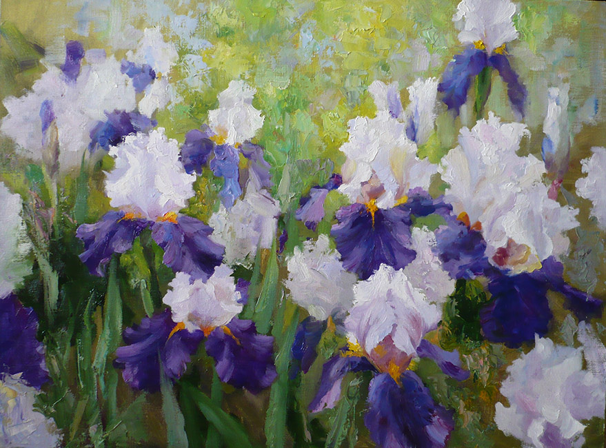 "Ирисы" Юрий Николаев
