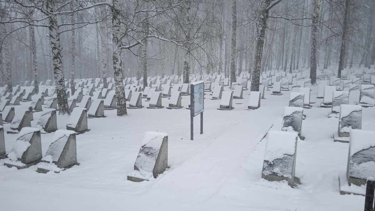 Егошихинское кладбище