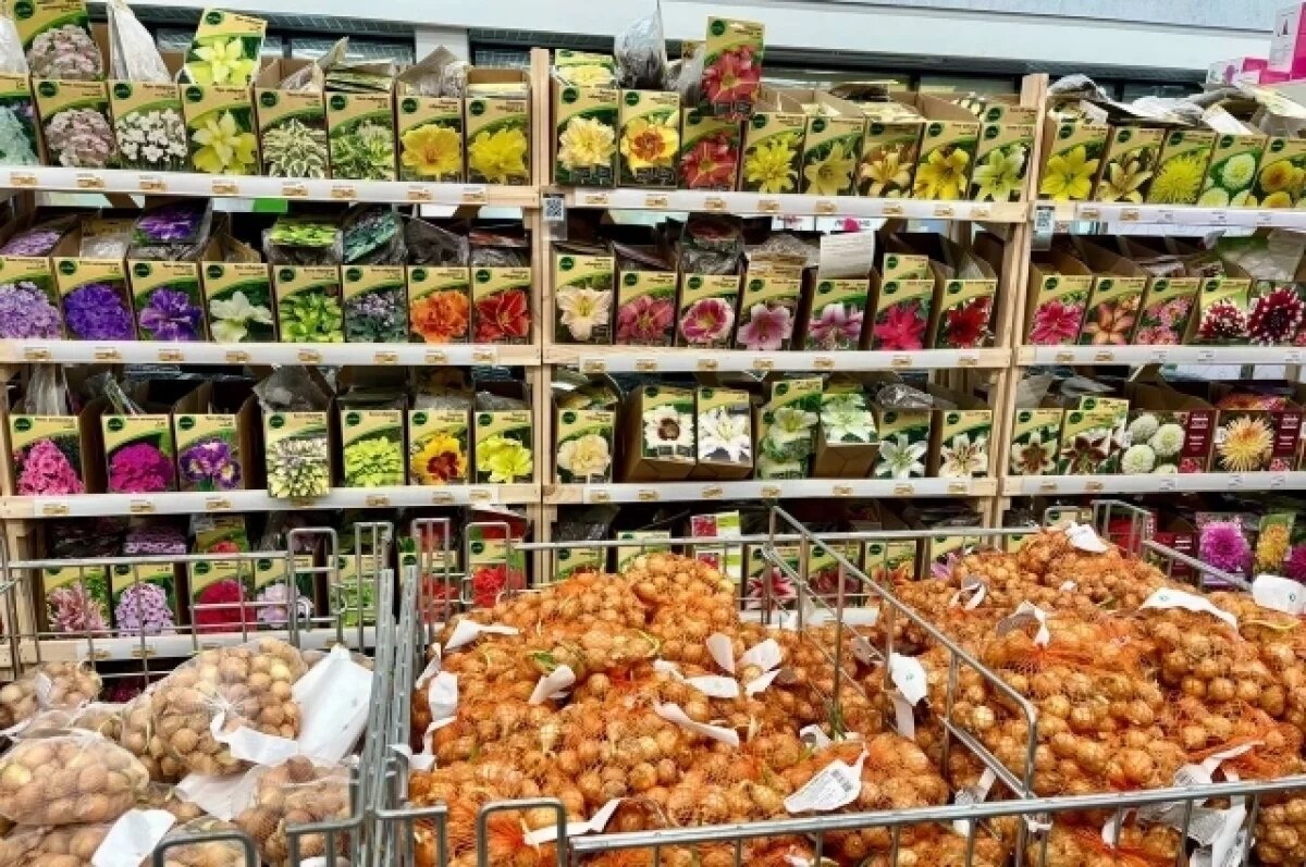    На Камчатке выявили семена растений неизвестного качества