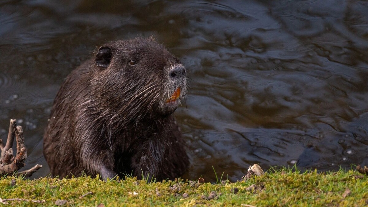     Источник: freepik.com