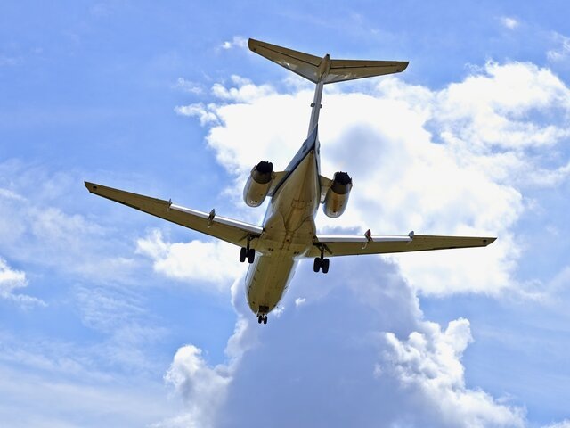    Фото: 123RF/bombaert