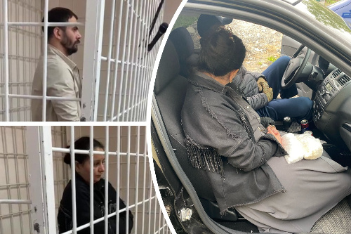    Фото: Прецедент