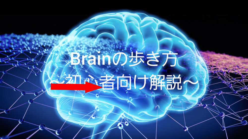    Как наш мозг обманывает нас и заставляет верить в гороскопы