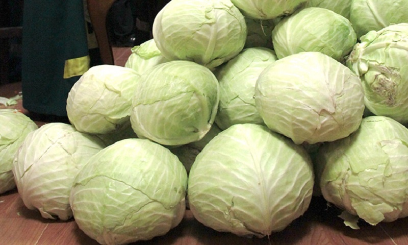 Сочные и нежные котлеты без мяса