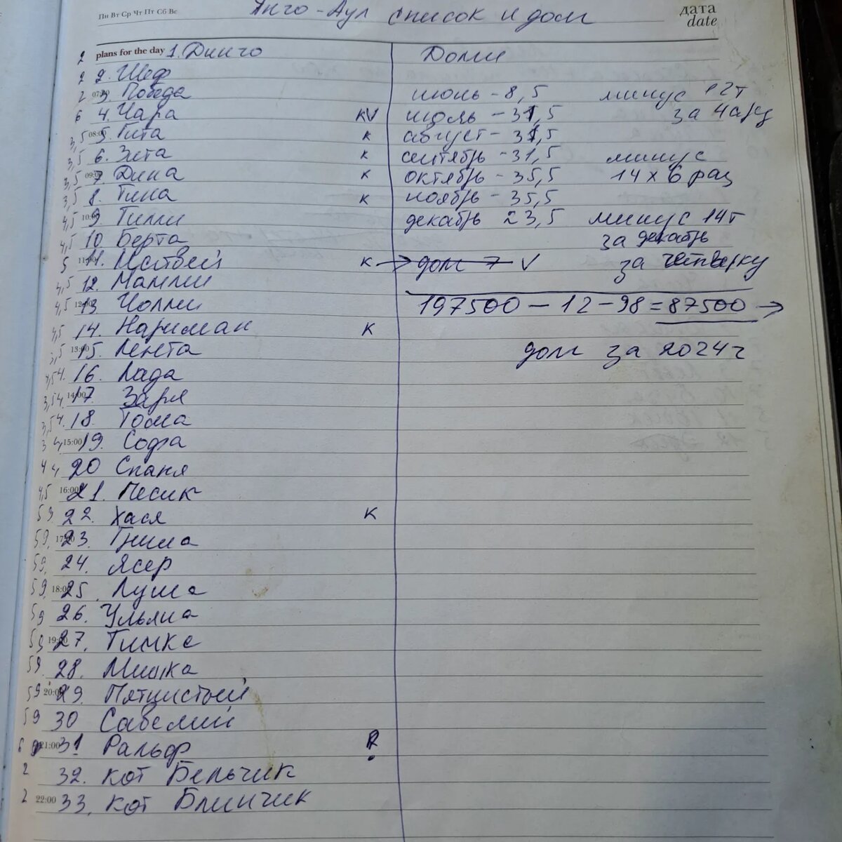 Долг на передержку в Янго-Ауле у Эллы 87500 за 2024 год.