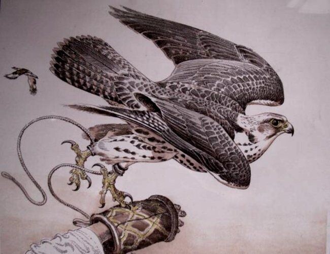 Фото взято из открытых источников.