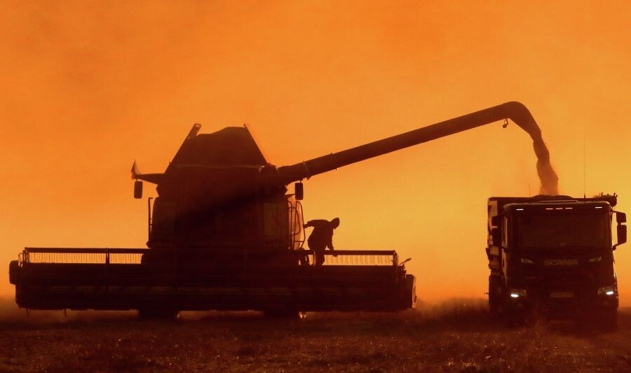     / Источник: © Илья Наймушин/РИА Новости