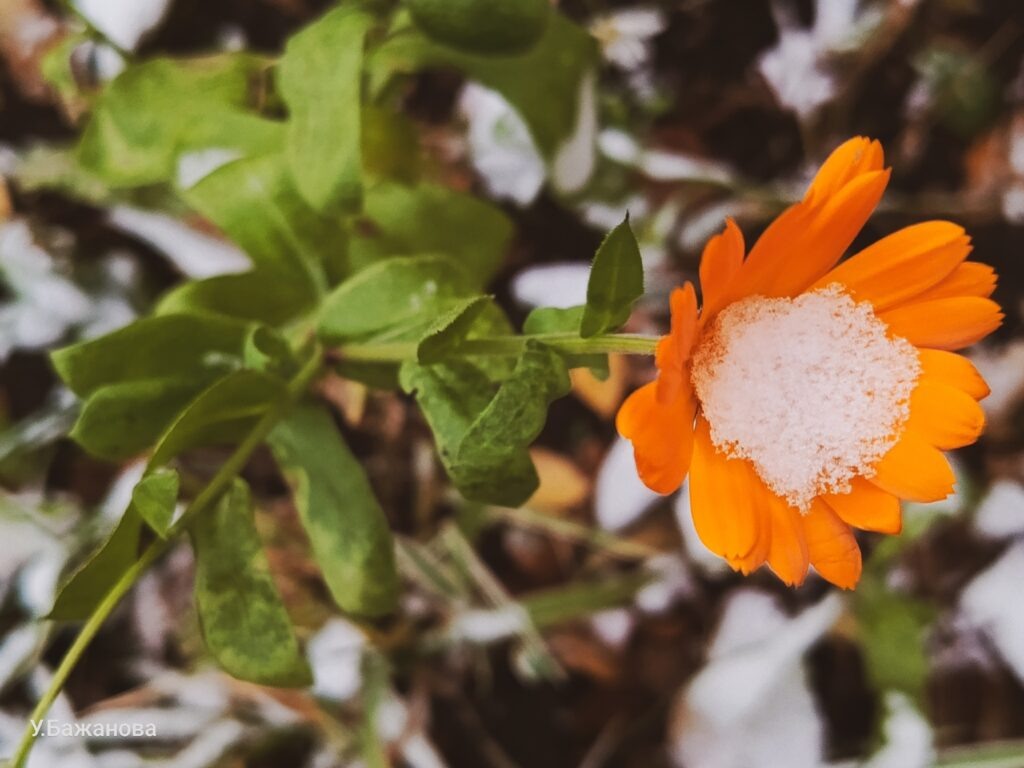    Фото: Ульяна Бажанова Ульяна Бажанова