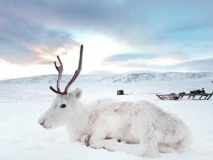 Вахтовики и местные жители севера