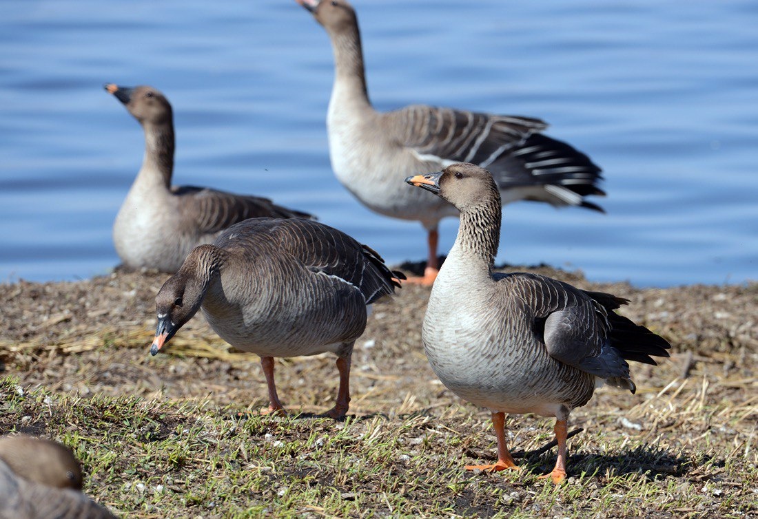    Фото: АО «Востсибнефтегаз»