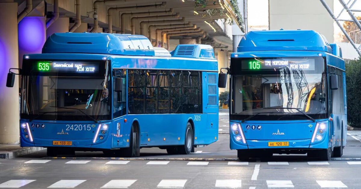 Фото: https://t.me/agproshunin