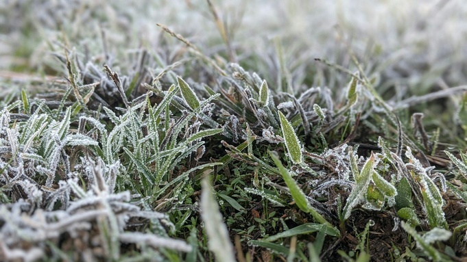 Дыхание Арктики. Заморозки до -5 градусов и дожди с мокрым снегом ожидаются на Алтае