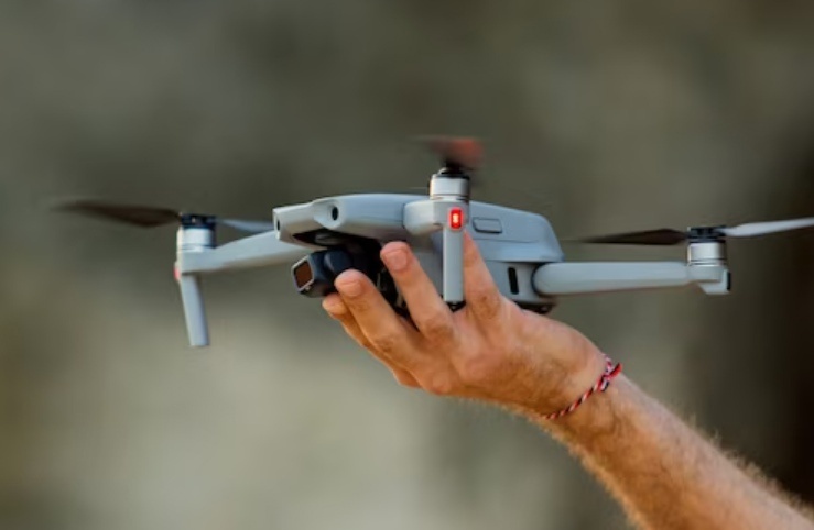    Фото: ru.freepik.com Александра Горохова