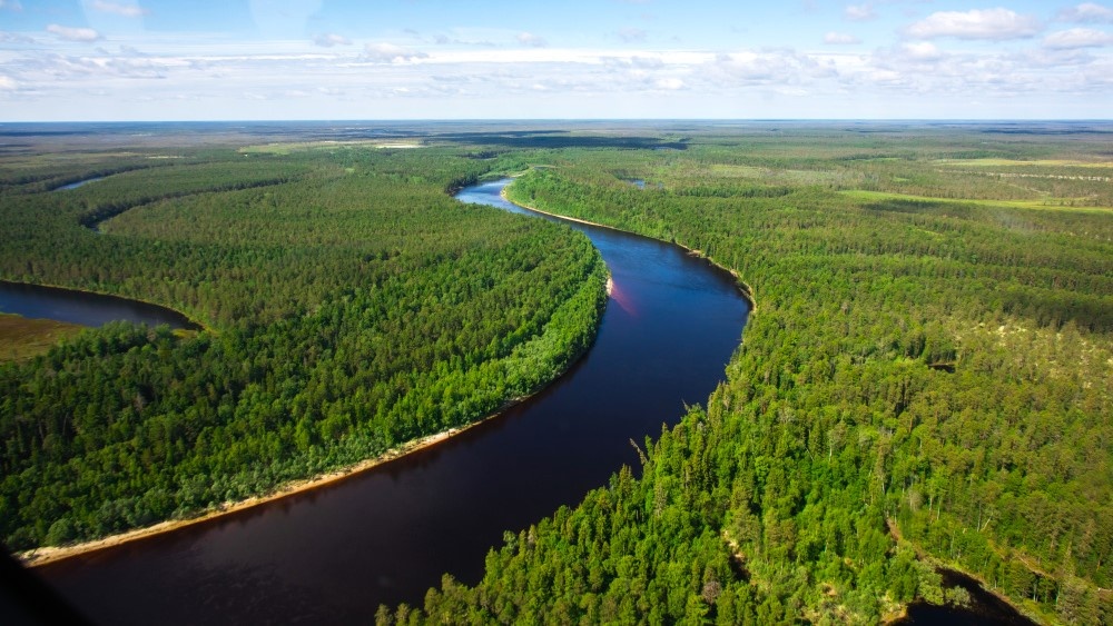    Паводковая ситуация в Сургутском районе остаётся под контролем