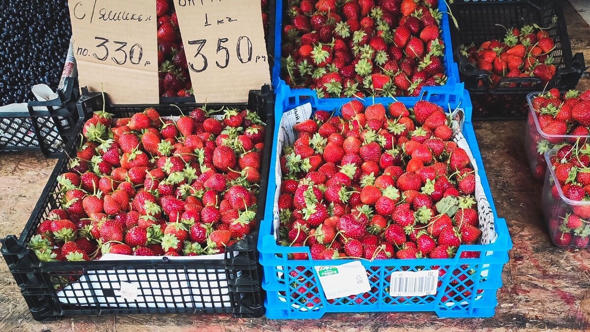     Источник: 1MI