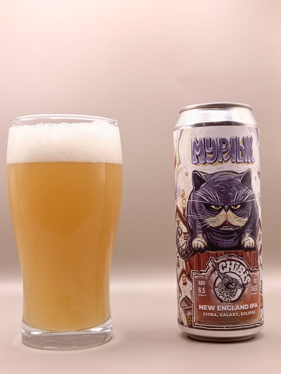 Мурлык, котик справа