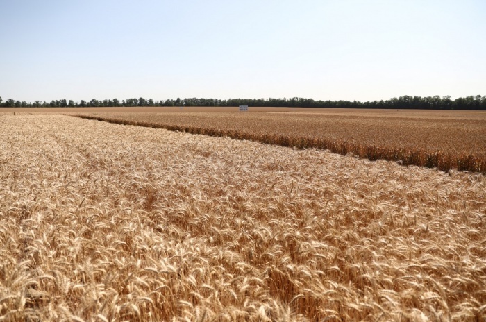    администрация Краснодарского края