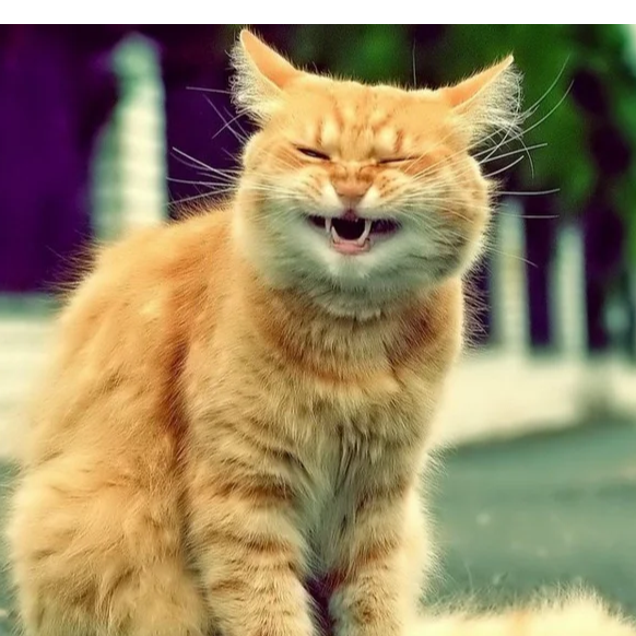 Смешно Тань такие вещи спрашивать!