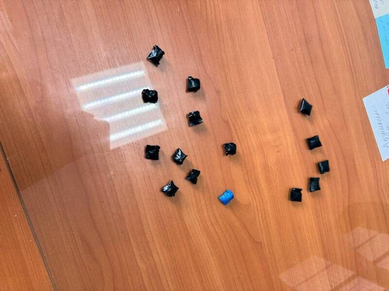 Фото: пресс-служба ГУ МВД России по Челябинской области