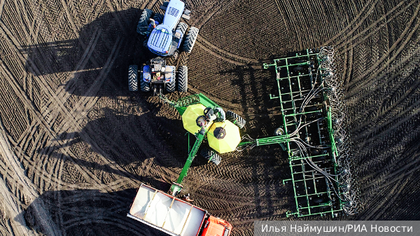    Фото: Илья Наймушин/РИА Новости   
 Текст: Ольга Самофалова