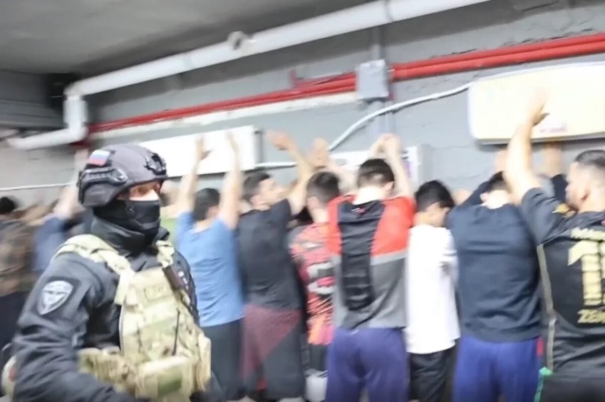    В Петербурге полиция поймала пять нелегалов в бойцовском клубе