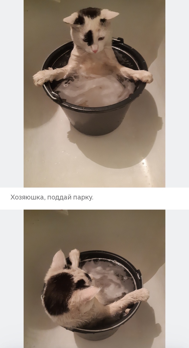 Скриншот с канала "дневник простой женщины".