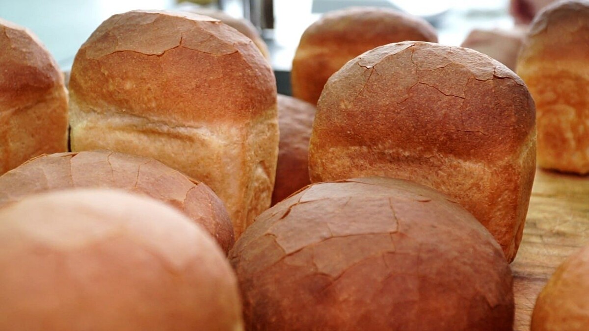    Фото: телеканал «Краснодар»