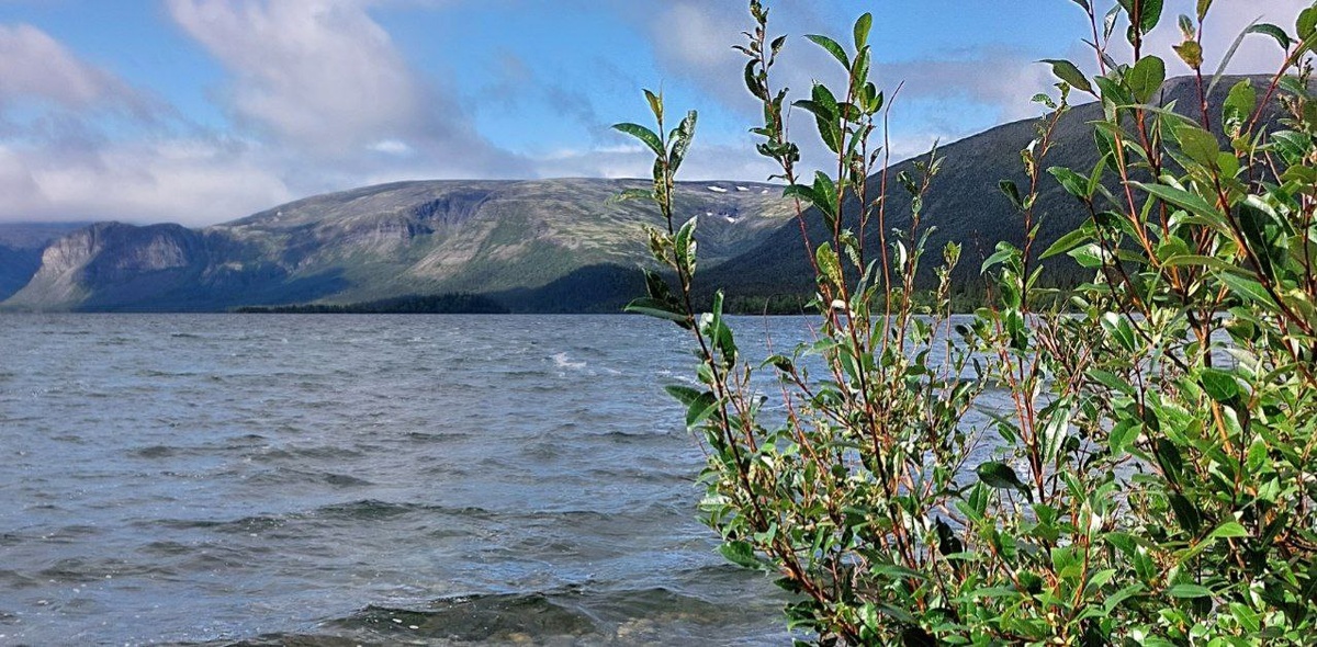 Фото: Вид от смотровой площадки на Сейдозере