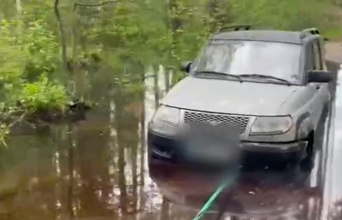 Что могло случиться на болоте?