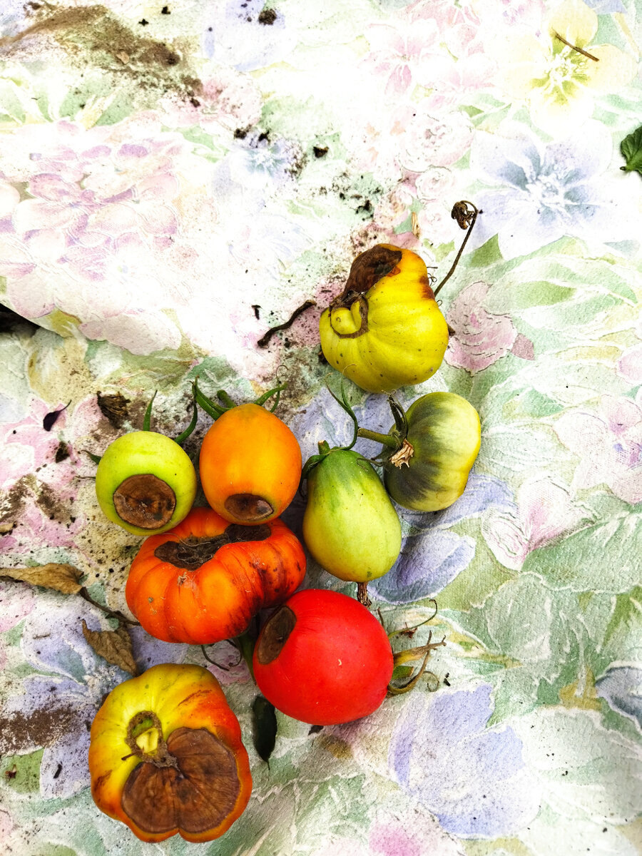 фото июнь 2022 год