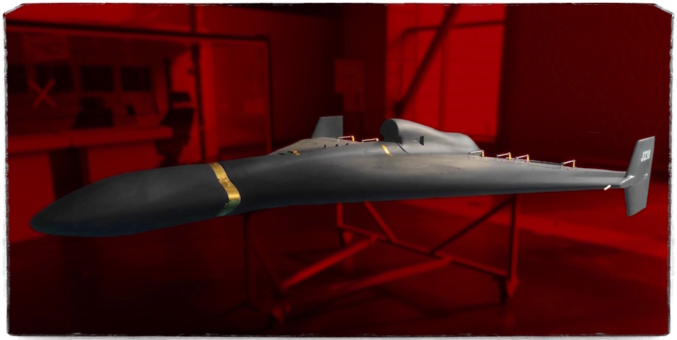 Источник: anna-news.info. В кадре Shahed-238.