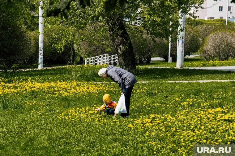 С 1 июня в России повысят пенсии и выплаты для детей для некоторых пенсионеров и семей. Фото: Анастасия Соргина © URA.RU