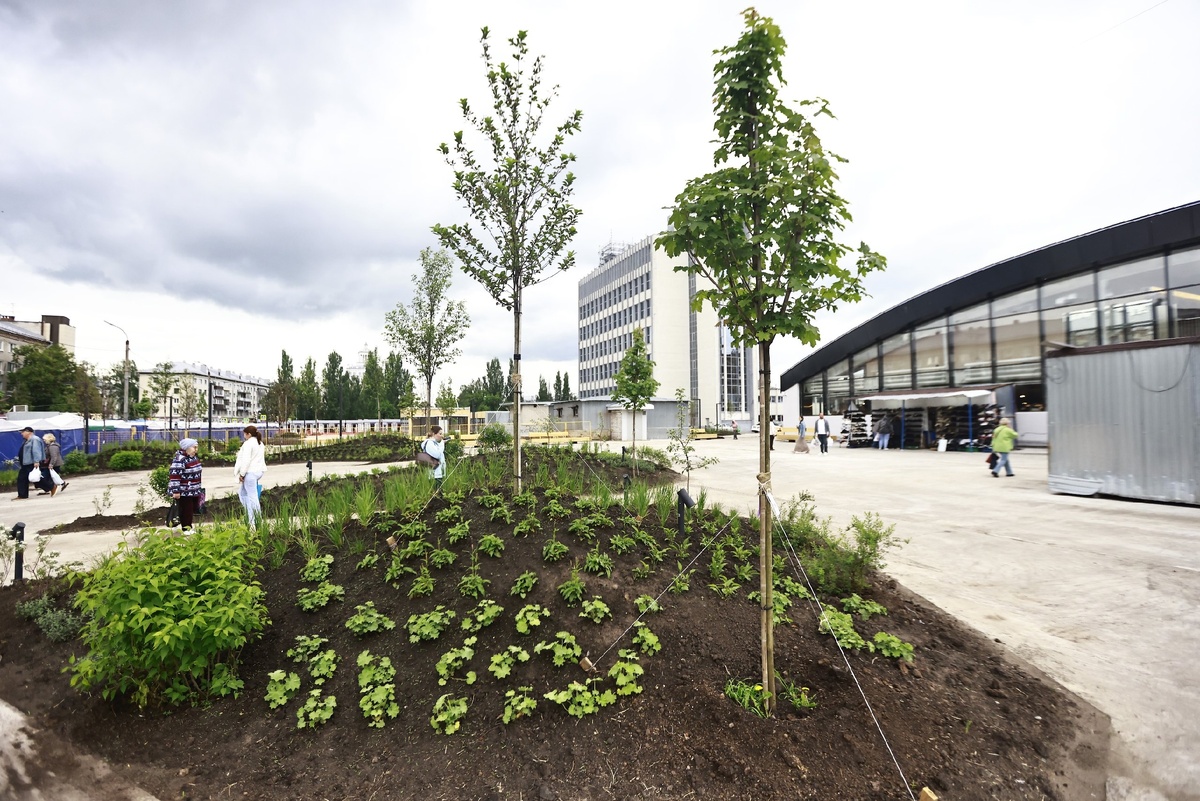 Автор фото: Павел Хацаюк / ИД «Вечерняя Казань»