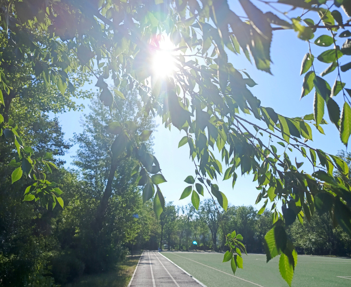 Идеальные условия стадиона...)