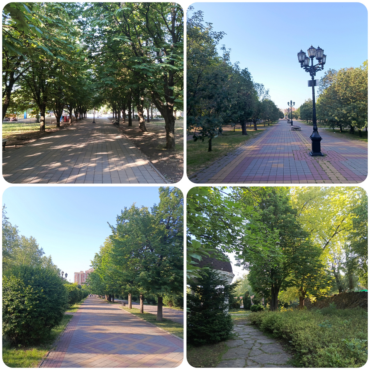 4 парка)) В них бегала по плитке, а между парками перемещалась по асфальту 🏃‍♀️