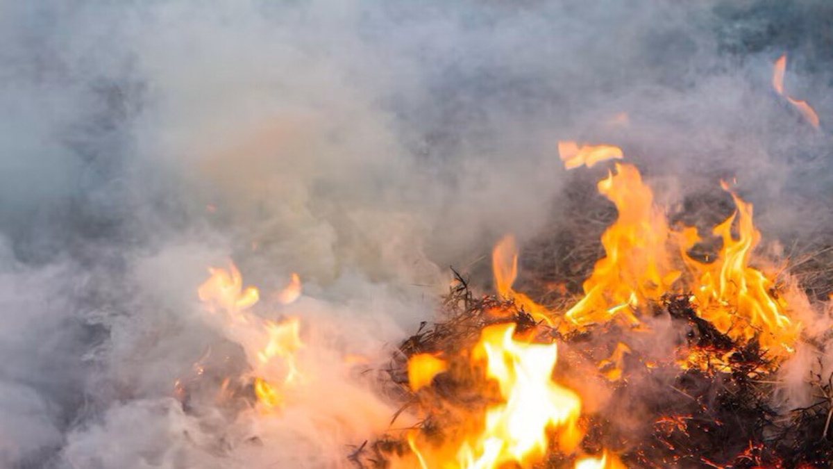     За сутки в Курской области потушили 12 пожаров