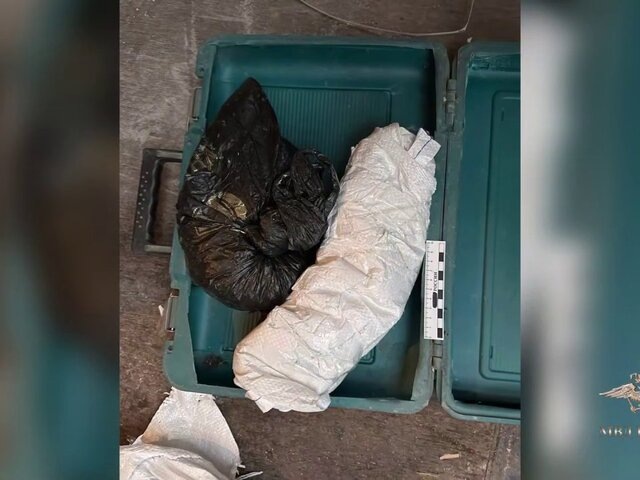    Фото: телеграм-канал "Ирина Волк"