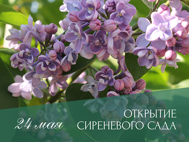 В Твери открывается Сиреневый сад