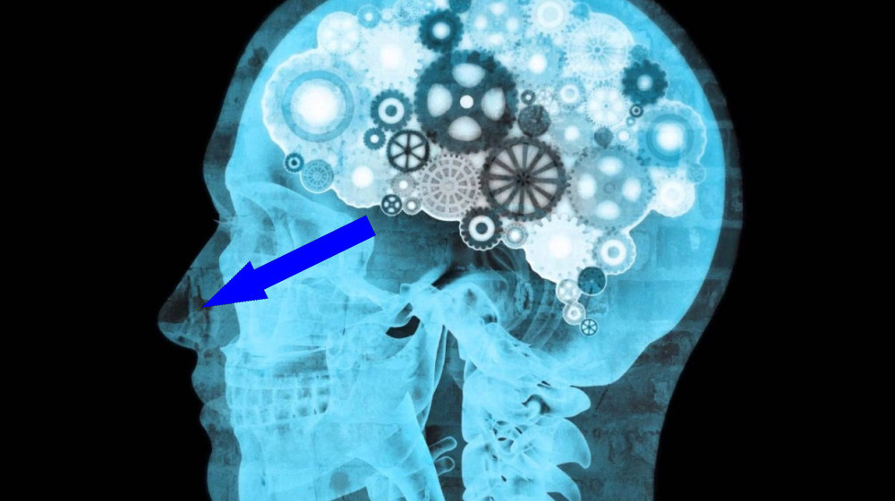    Ваш мозг редактирует прошлое и вот почему вы этого не замечаете