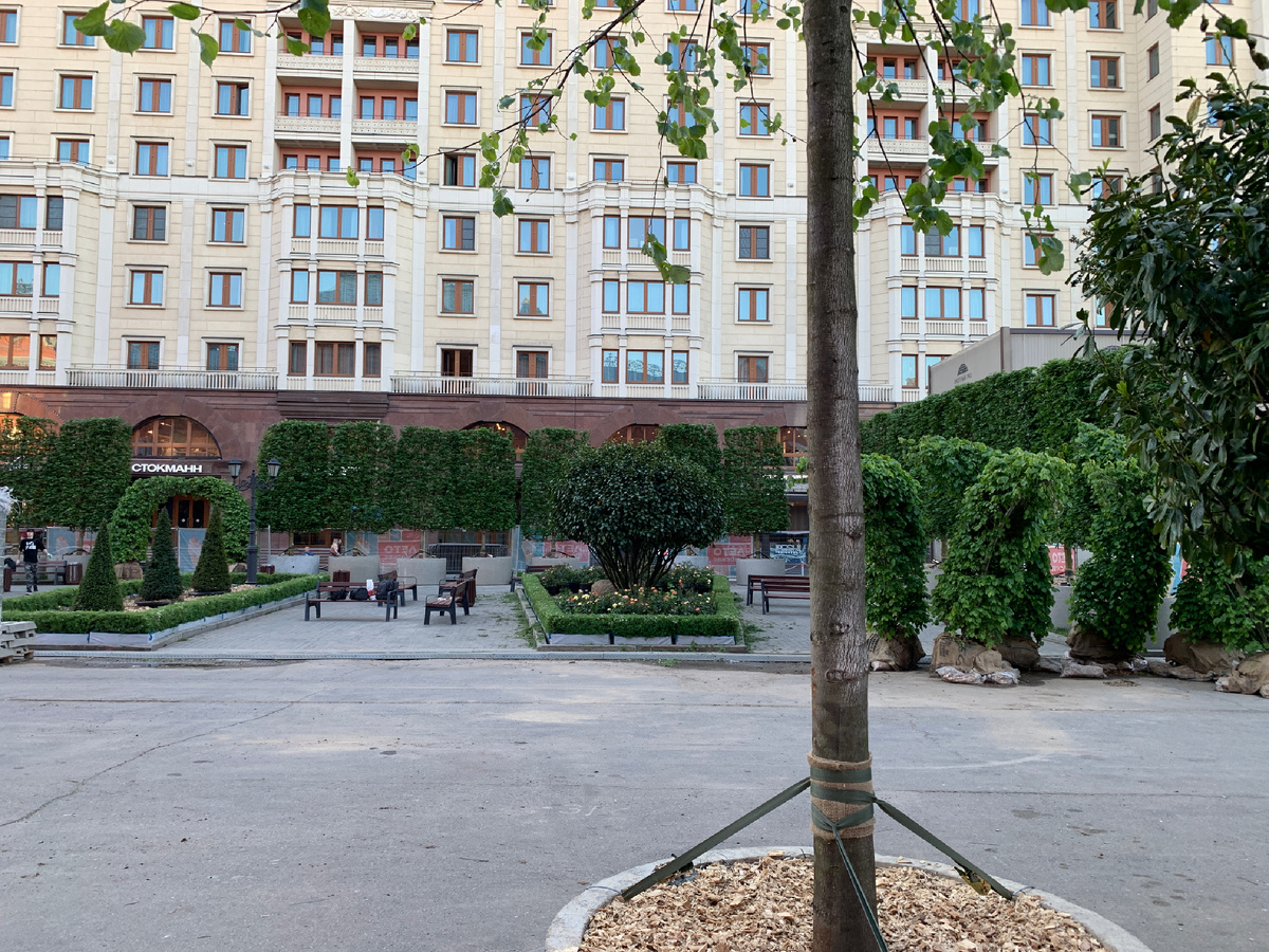 Это пока за ограждением 