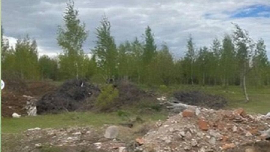    Фото: Минэкологии Татарстана