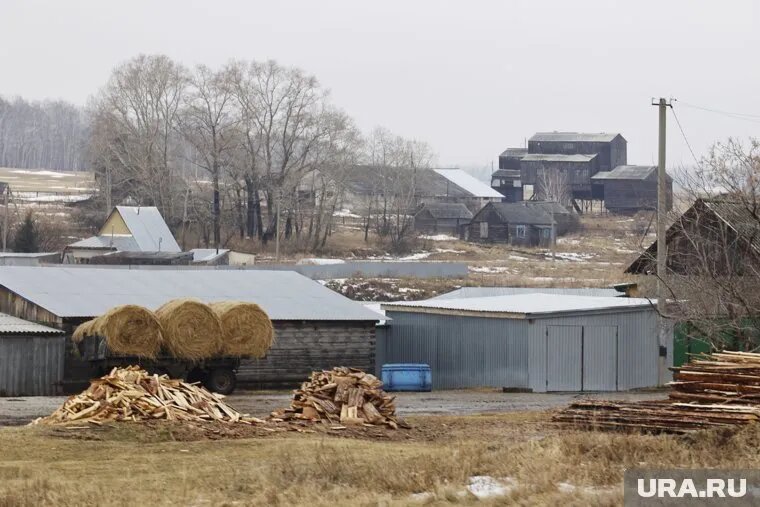 Предлагается объединить поселок Куеда, а также деревни Куеда, Трегубовка и Солодовка Куединского района в единый населенный пункт. Фото: Екатерина Сычкова © URA.RU