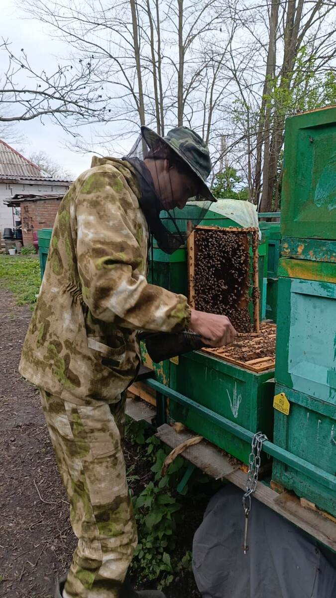 Пчеловодство требует любви и знаний