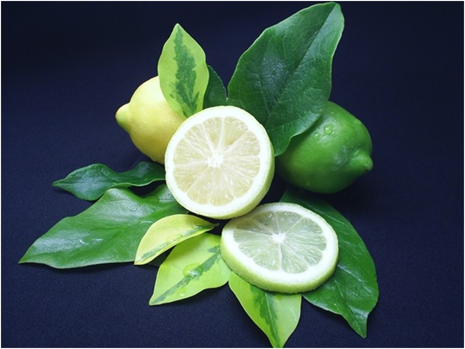 Изображение имеется в свободном доступе.