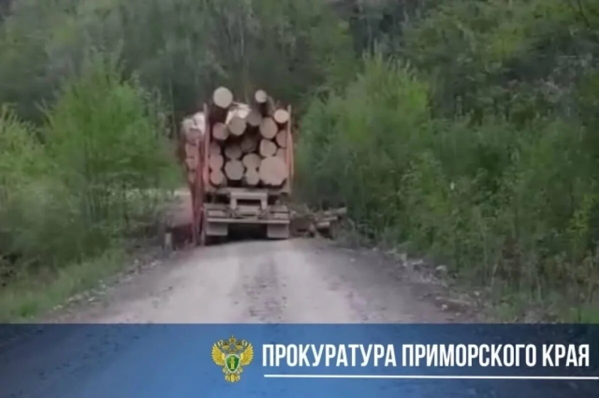    Прокуратура Приморья проверит рухнувший в мост и законность лесозаготовок