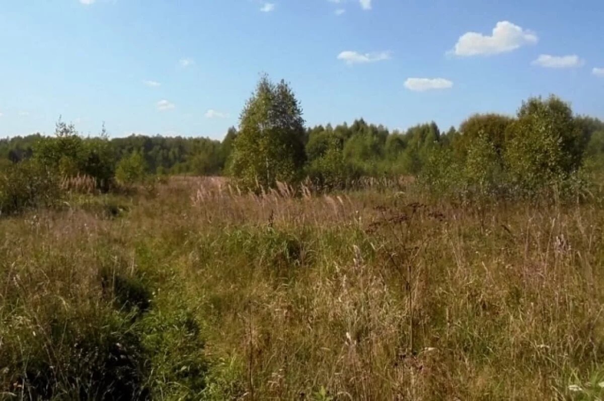    Калужанка через суд пыталась избавиться от штрафа за заросший участок