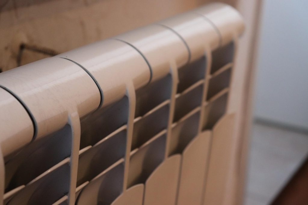    Фото: Анастасия Москалева, media4media