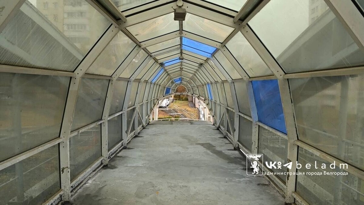     Источник: vk.com/beladm31