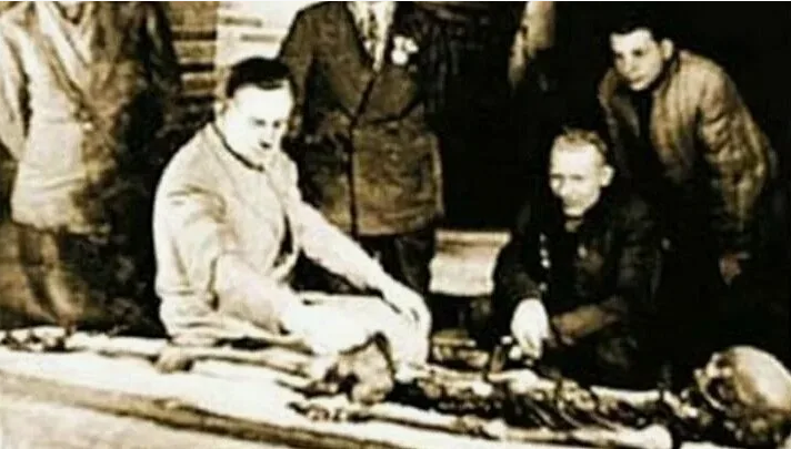 Яндекс.Картинки